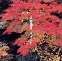 花鳥風月
