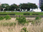 a87c59e3.JPG