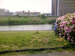 dbb10b33.JPG