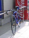 b5728b33.JPG