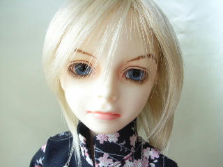 phalex0205.JPG
