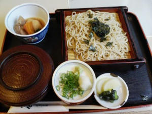 ざる蕎麦定食