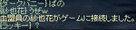 zyanp5.jpg