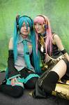 IMGP0665.jpg