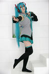 IMGP2507.JPG