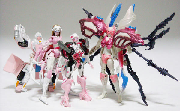 08030511.jpg