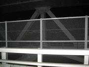 IMG_1437.jpg
