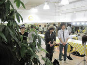 IMG_7529.jpg