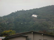 IMG_7637.jpg