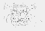 3594