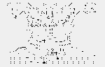 2011_8_05.gif