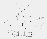usabitch