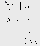 usabitch