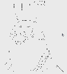 usabitch