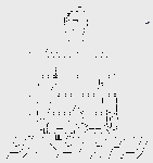 gun=kata