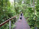 熱帯雨林のジャングルを散歩