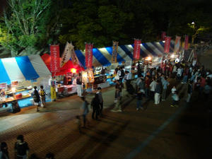 DSC01655.jpg