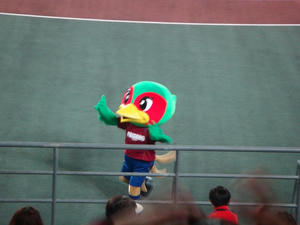 DSC01661.jpg