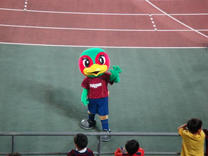 DSC01663.jpg