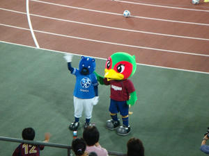 DSC01664.jpg