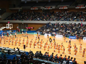 DSC02082.jpg