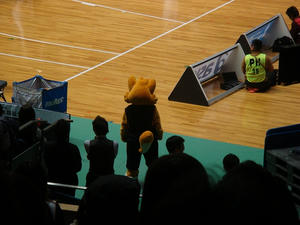 DSC02088.jpg