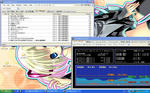 aed70313.JPG