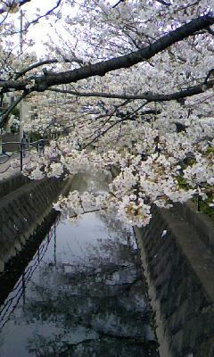 090405_1152~01.jpg