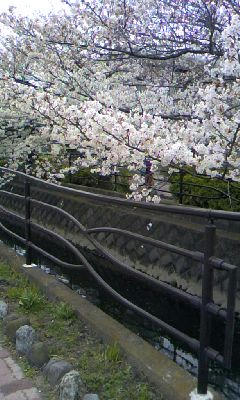 090405_1152~02.jpg