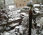DVC00004_M.JPG