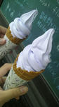2009062913240000.jpg