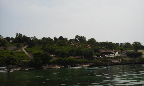 110214_1510~01.jpg