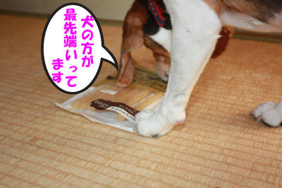 おやつ メグ嬢の日記