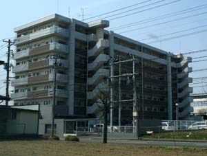 east_bilu1.jpg