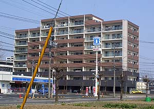 east_bilu2.jpg