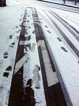 snow2009.jpg