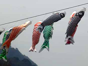 koinobori2010_2.jpg