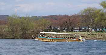 sakuraMatsuri2010_5.jpg