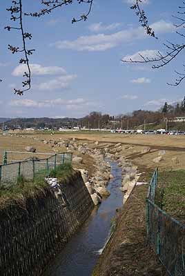 sakuraMatsuri2010_6.jpg