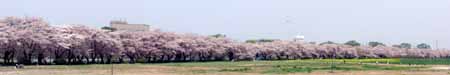 tensyochi20100505.jpg