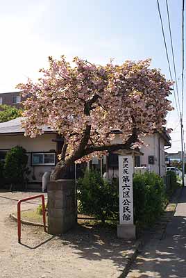6ku_20100516_1.jpg