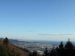 mikawawan2.JPG