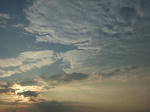 DSCF2559-s-s.JPG