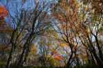 0810190419-s.JPG