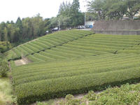 SN380169.JPG