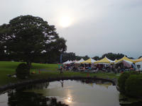 SN380176.JPG