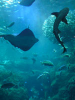 SN380227.JPG