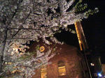 s-P1000989.jpg