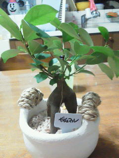 201209202202000.jpg