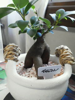 201208051505000.jpg